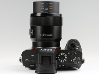 Sony FE 50mm f/2.8 1:1 Macro Lens foto 5