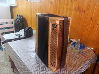 Acordeon foto 3