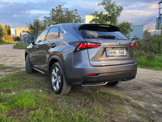 Lexus NX Series foto 6