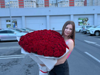 101 Trandafiri  1 metru - 2000 lei  !!! Livrare gratuita foto 8