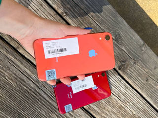iPhone XR r 64 GB + гарантия 12 месяцев!! В кредит 0%! foto 3