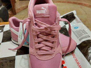 Puma foto 2