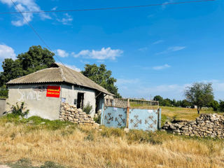 Teren construcții 25Ari-1km de la Nistru, zonă pitorească Holercani, r-ul Dubăsari. foto 2