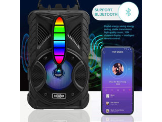 Difuzor Bluetooth XO F51 Color Jade pentru exterior RGB (cu telecomandă + microfon cu fir *1) foto 3