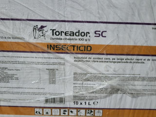 Fungicide si insecticide foto 9