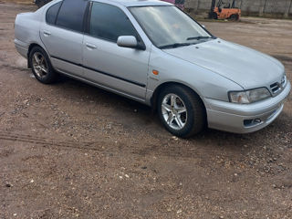 Nissan Primera foto 4