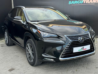 Lexus NX Series