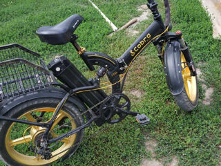 Bicicleta foto 3
