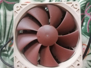 Noctua NH D14 foto 3