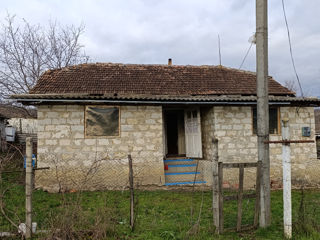 Călărași loc. Pitușca casa 80 M2, teren 20 ari. foto 17