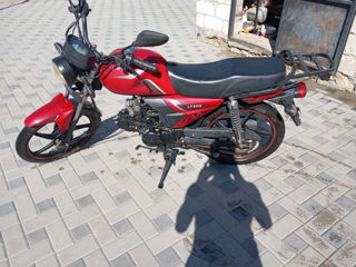 Lifan 50 cm