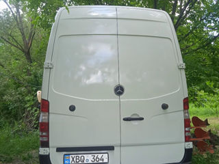 Mercedes Buss foto 3