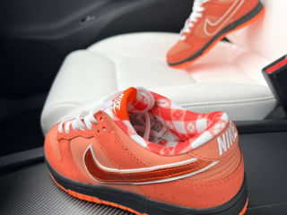 Nike SB Dunk Lobsters Orange Unisex 36-45 foto 2