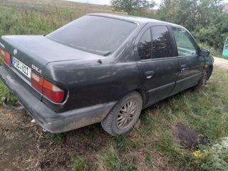 Nissan Primera foto 3