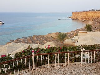 Reef Oasis Beach Resort 5* Sharm El Sheikh. В бухте без ветра и пыли! foto 7