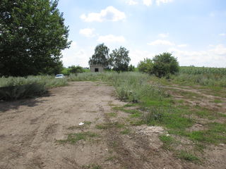 Территория бывшего зернотока. foto 1