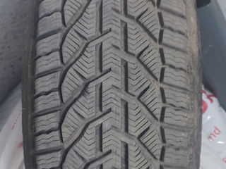 Tigar Winter 225/55 R17 foto 1