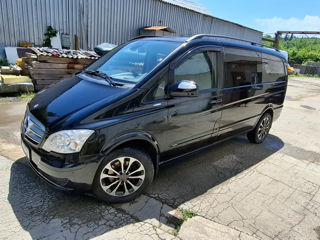 Mercedes Viano, 2011 г.