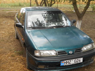 Nissan Primera foto 1