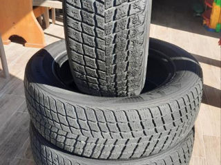 Anvelope iarna Nexen 225/60 r17