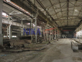 Производственно-складской комплекс, Бельцы foto 13