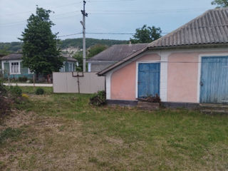 Сдается посуточно два дома в живописном селе Наславча Окницкого района foto 3