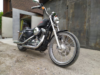 Harley - Davidson XL1200V foto 6
