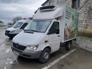 Mercedes sprinter 313cdi(058) foto 2