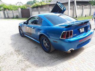 Ford Mustang foto 4