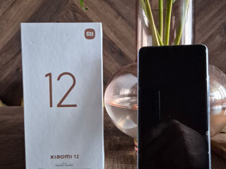 Xiaomi mi 12