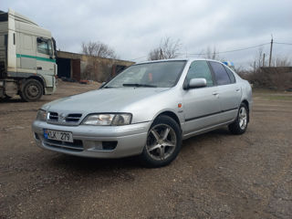 Nissan Primera foto 2