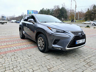 Lexus NX Series foto 3