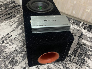 Avatar 1500w foto 3