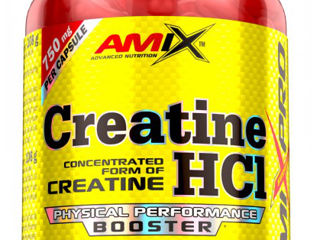 Amix Creatine HCl 120 caps.