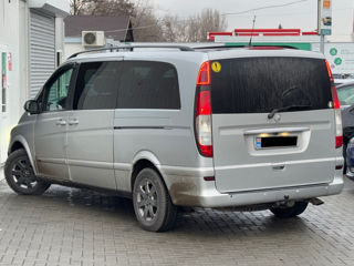 Mercedes Viano foto 4