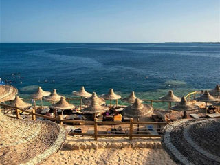 Tunisia oferte fierbinți la mare Горящие туры в Тунис из Кишинева на море 2024 foto 9