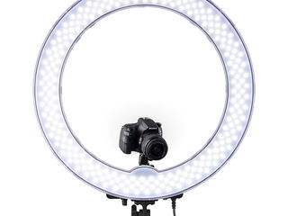 Профессиональная кольцевая LED лампа используется во всех сферах индустрии красоты ! foto 3