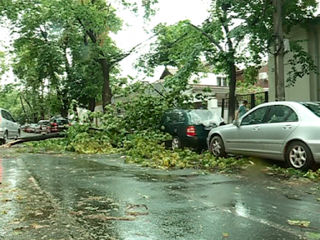 Interventii de urgenta in urma furtunii de aseara! Taiere copaci, crengi periculoase! foto 4
