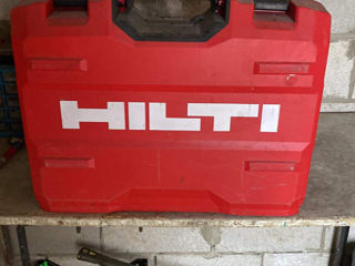 Hilte in state nou
