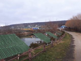 Продается действующий business рыболовное хозяйство или Аренда, 16 км от Кишинева ,Страшены-Рошканы foto 1