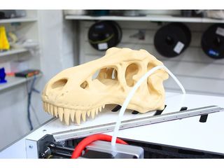 Игрушки на 3д принтере/Jucării cu imprimantă 3D foto 7