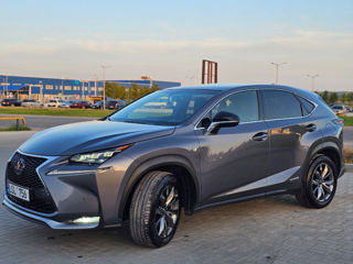 Lexus NX Series foto 6