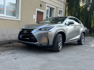 Lexus NX Series