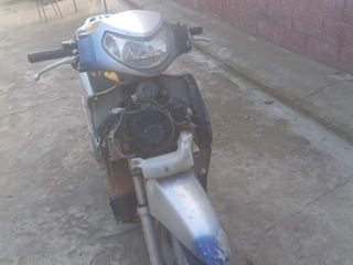 Honda Sh150 foto 3