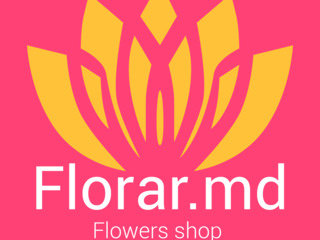 Flori- flori moldova- buchete de flori- flori chisinau foto 4
