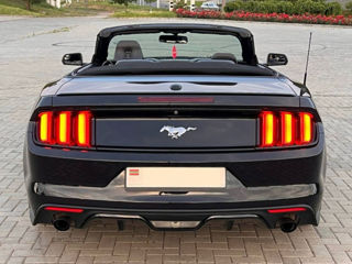 Ford Mustang foto 5