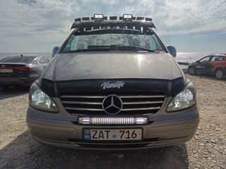 Mercedes Viano