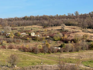 Vand teren agricol folosit ca ferma !