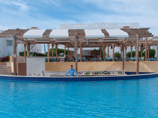 Sharm el sheikh super pret zbor pe 30.08 hotel ''Continental plaza beach & aqua park resort 4* ''! foto 14