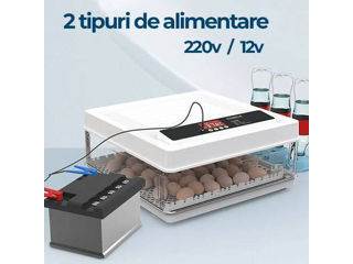 Incubator MS-130 - 3 rate 0% - Livrare - Credit - Transfer - Agrar.md foto 2